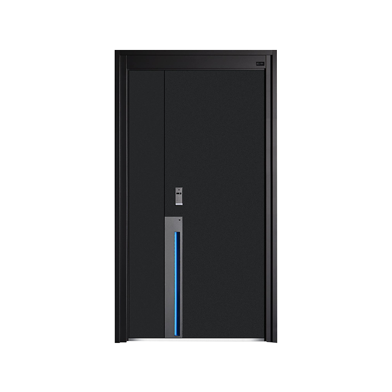 Home Light Luxury Simple Dogle Door